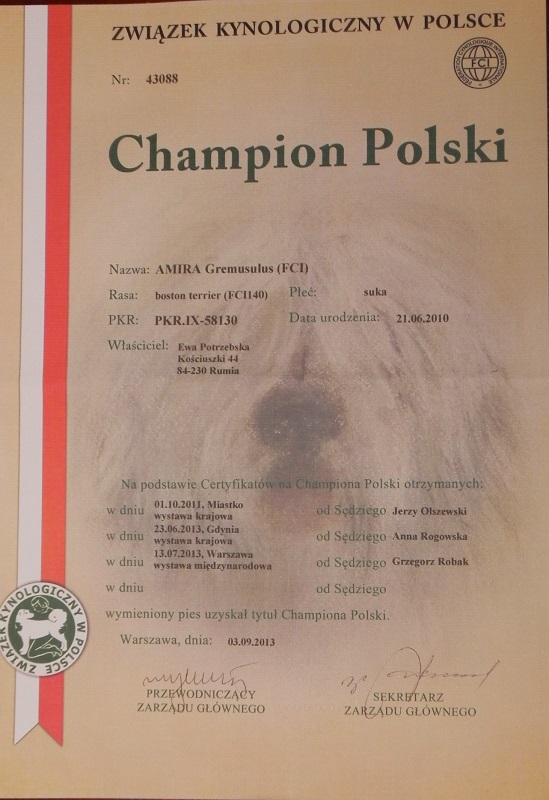 Championat_Ady_maly