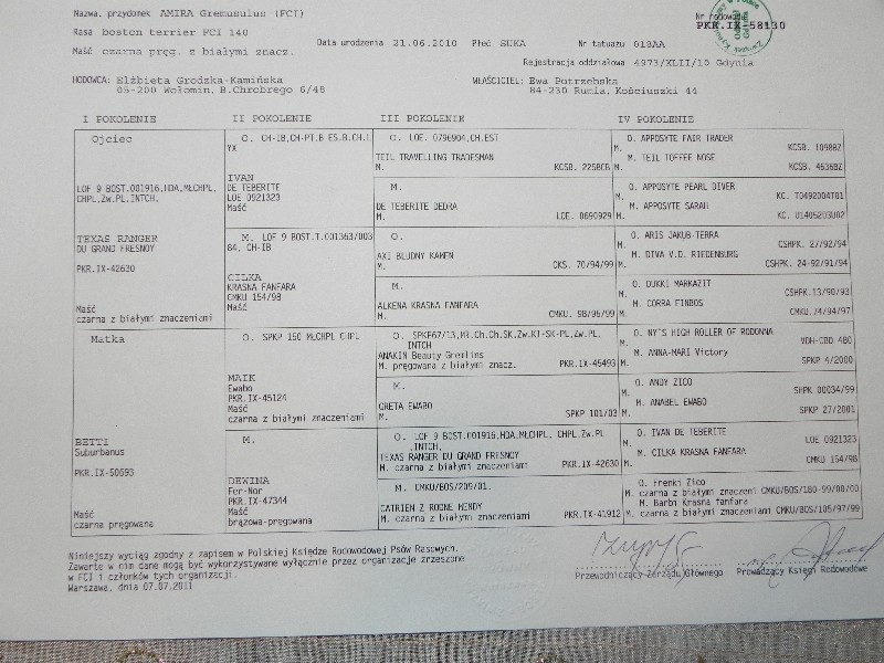 cert1